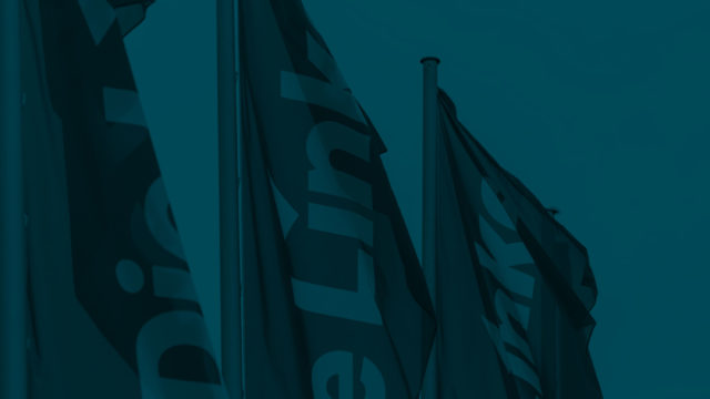 Linke Fahnen